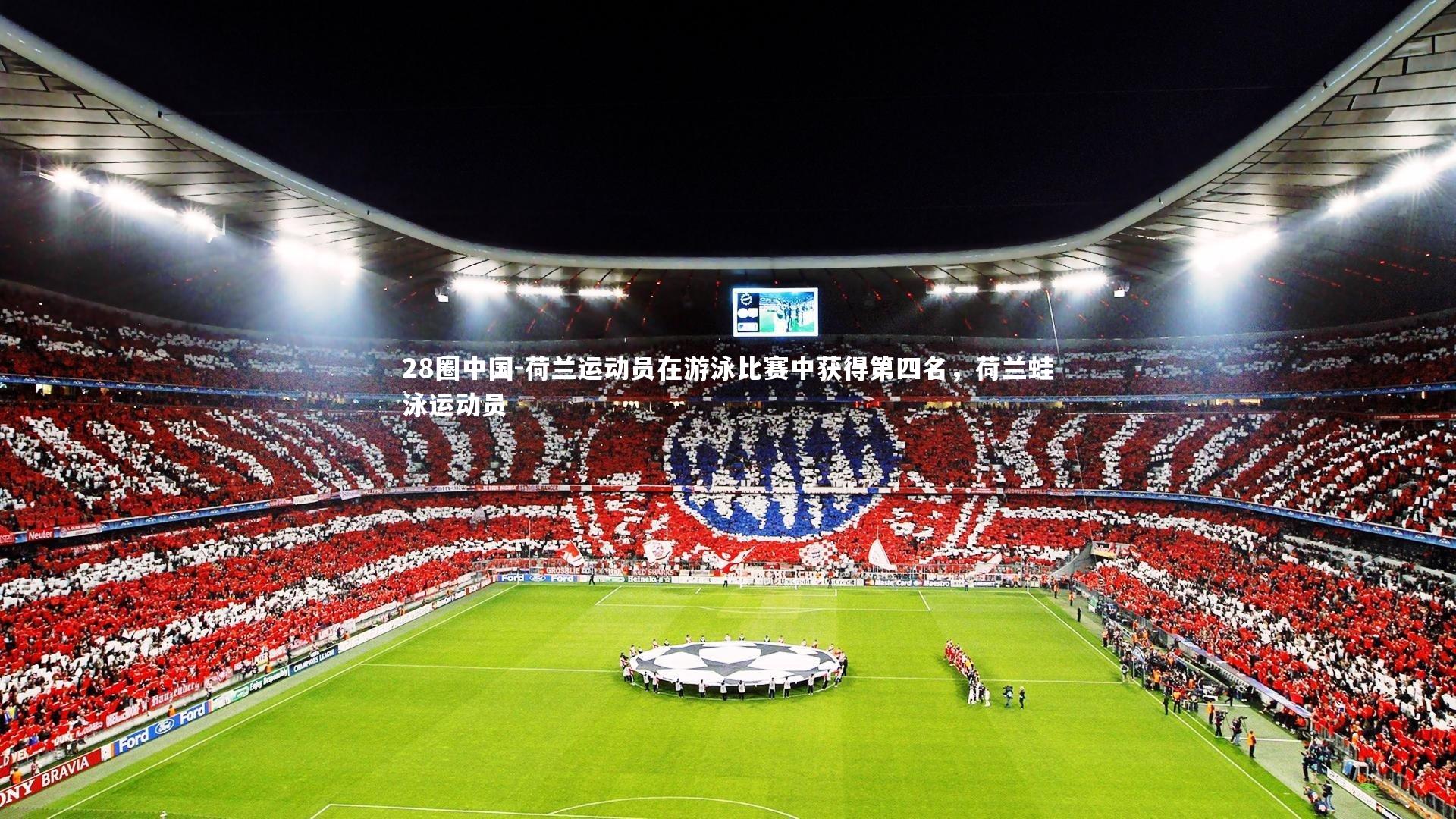 荷兰运动员在游泳比赛中获得第四名，荷兰蛙泳运动员