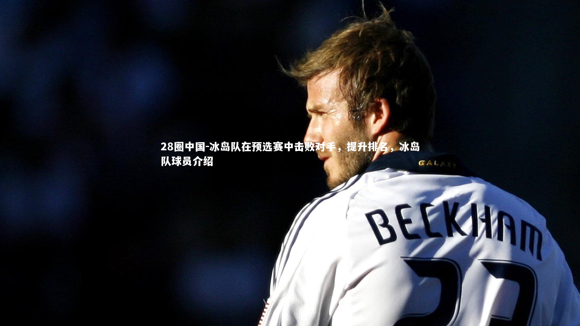 冰岛队在预选赛中击败对手，提升排名，冰岛队球员介绍