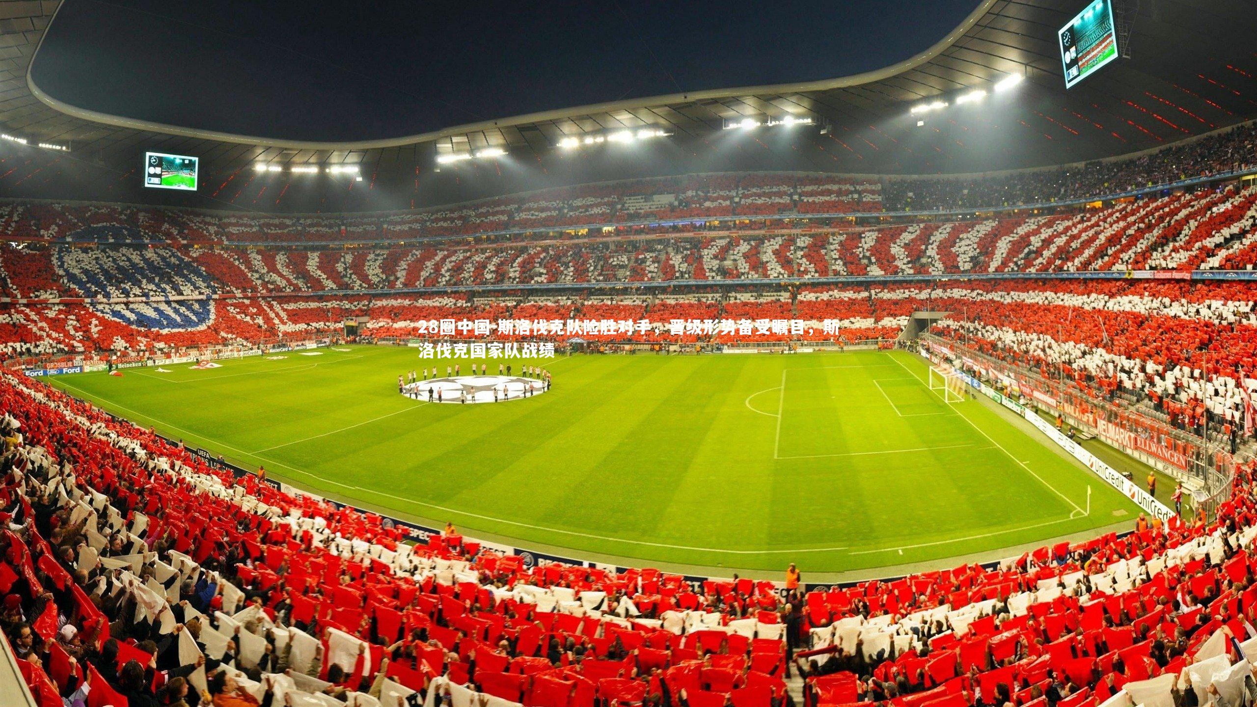 斯洛伐克队险胜对手，晋级形势备受瞩目，斯洛伐克国家队战绩